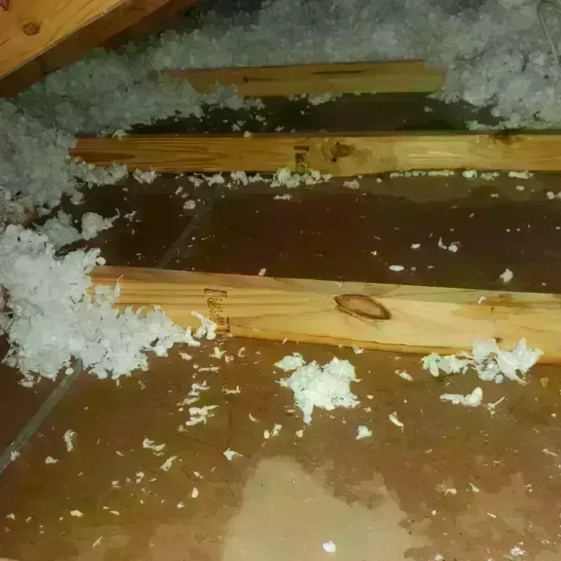 Attic Water Damage in Gastonia, NC